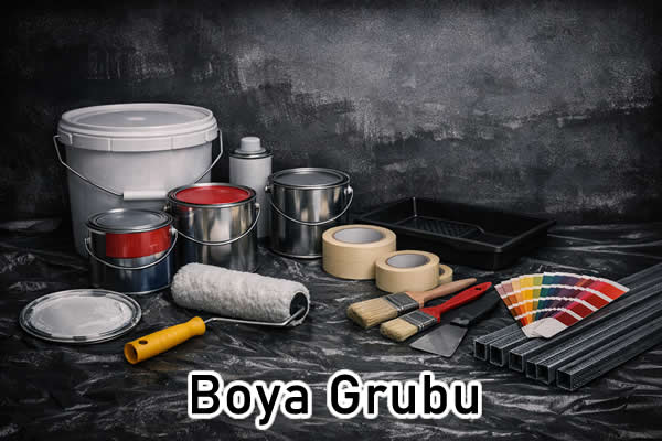 Boya Grubu